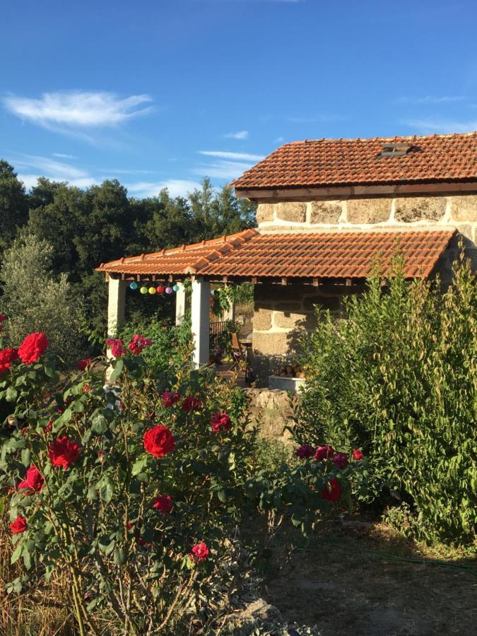 Quinta Do Cobral Villa Oliveira do Hospital Exteriör bild