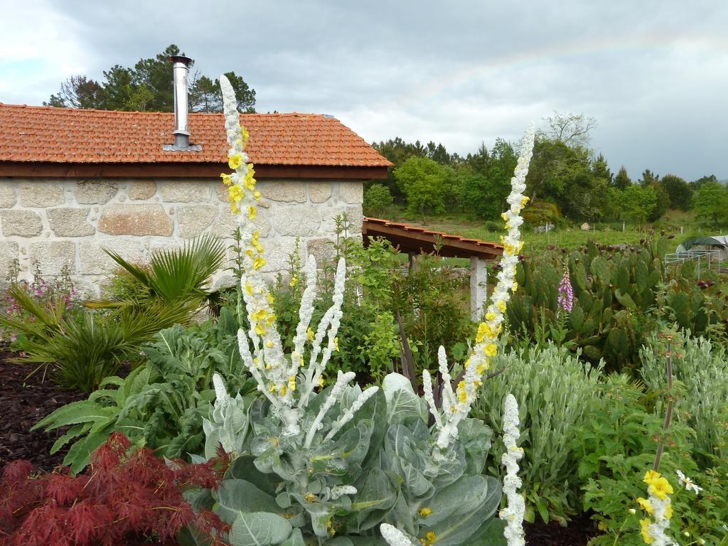 Quinta Do Cobral Villa Oliveira do Hospital Exteriör bild
