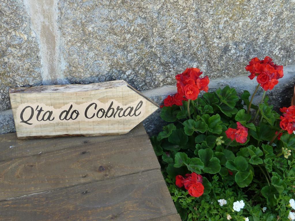 Quinta Do Cobral Villa Oliveira do Hospital Exteriör bild